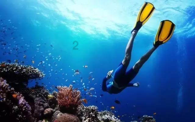 又一国家级“小巨人”过会！这些公司快马加鞭闯关北交所IPO